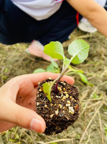 IMG_6830(20250926-112950)