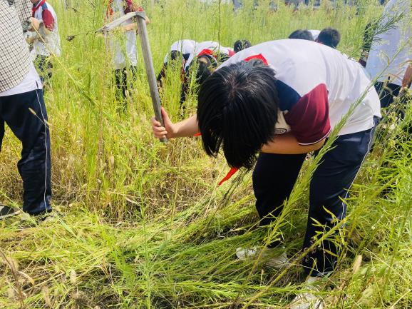 IMG_6782(20250915-141348)