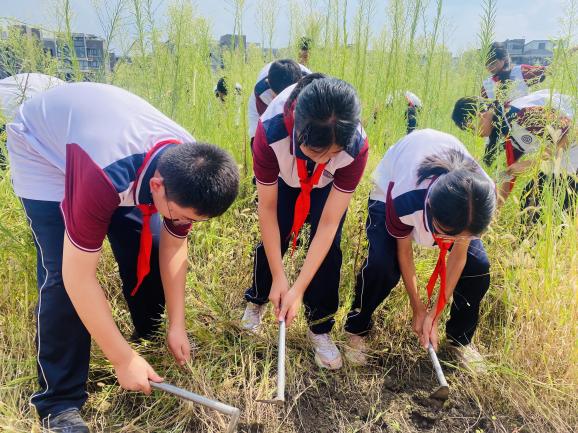 IMG_6781(20250915-141347)