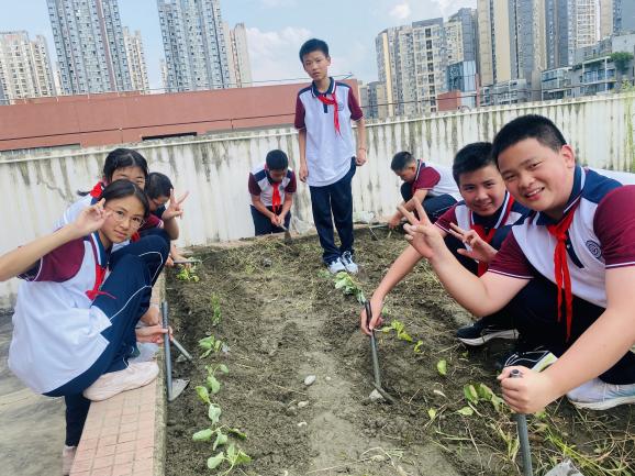 IMG_6786(20250916-103155)